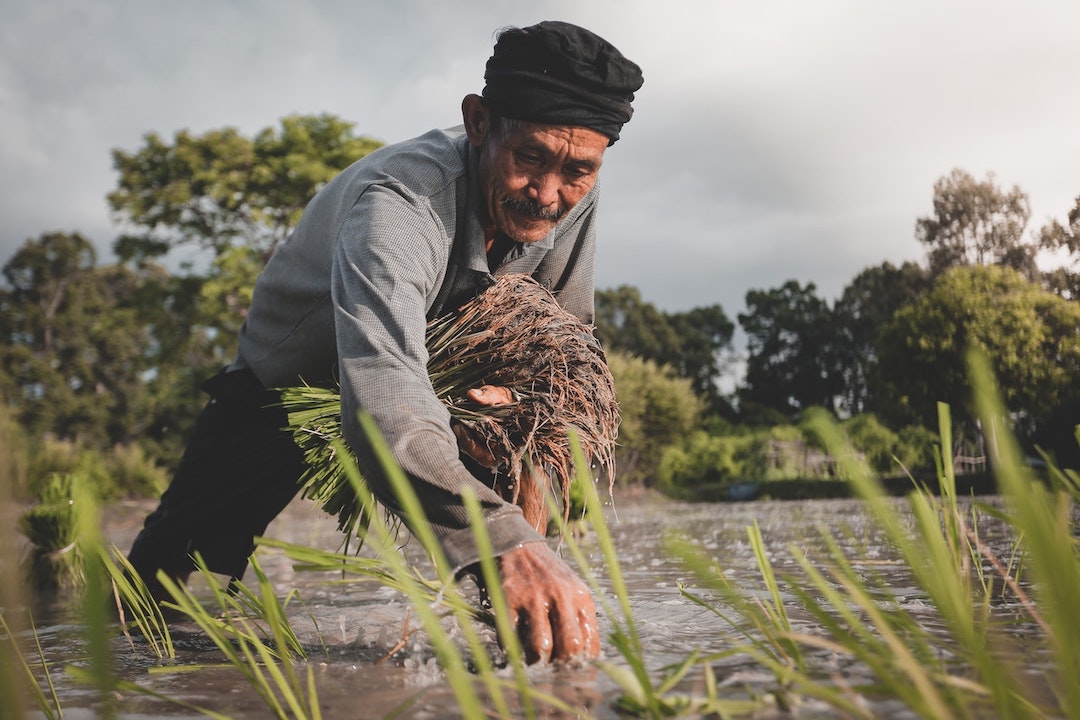 farmer