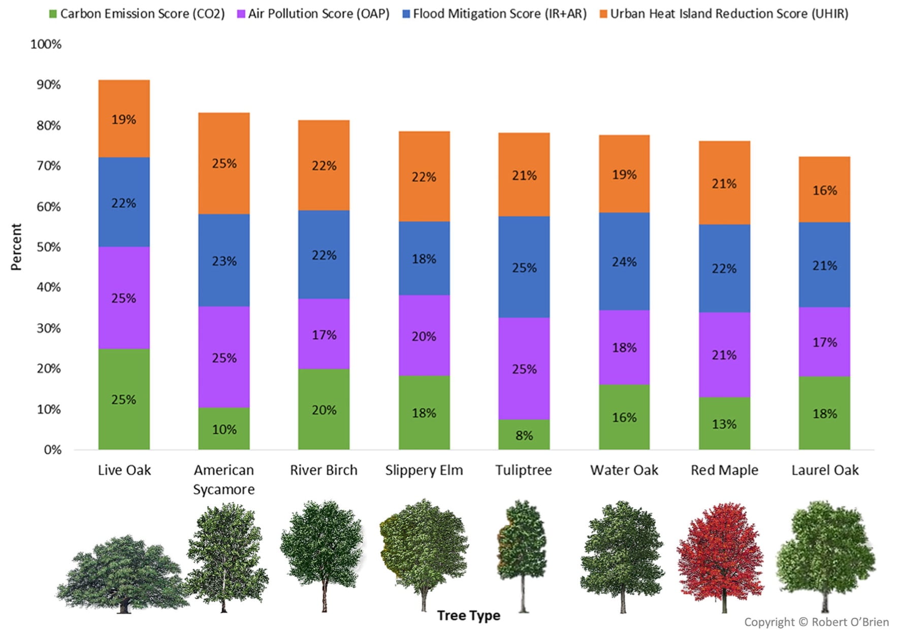 super-trees-1213_TREES-2-WEB