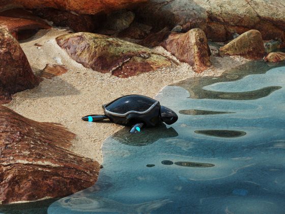 Beatbot to Introduce the Amphibious RoboTurtle and Shore Self-Docking & Charging Station at CES 2025